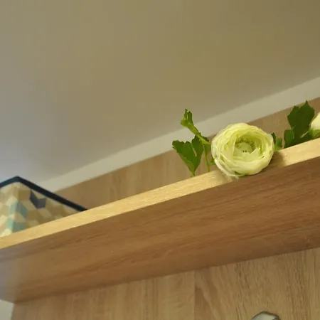 Smp Apartment Timisoara