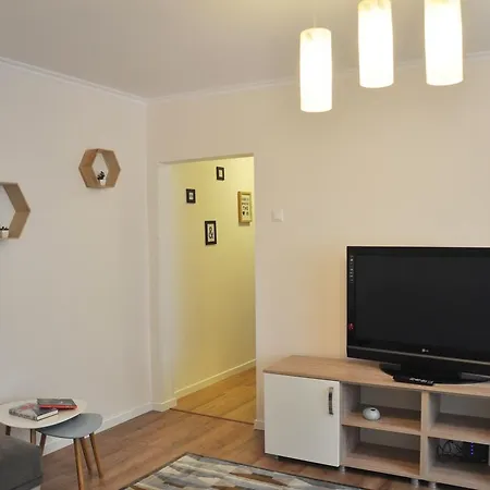 Smp 公寓 蒂米什瓦拉