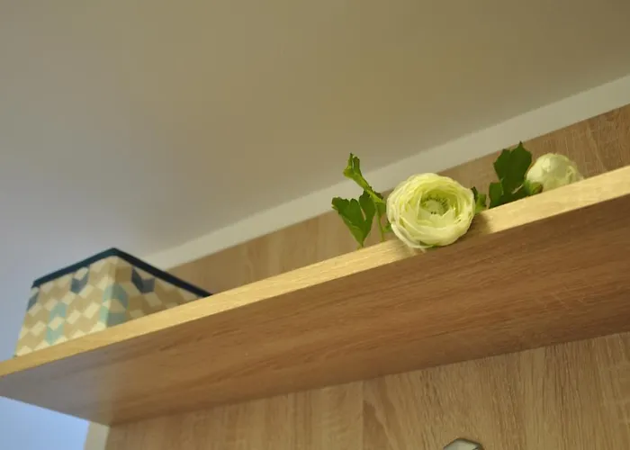 Smp Apartment Timisoara